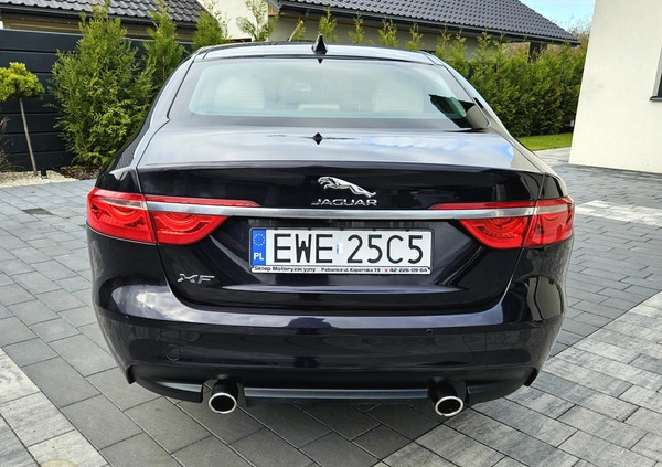 Jaguar XF cena 82900 przebieg: 53500, rok produkcji 2016 z Łódź małe 92